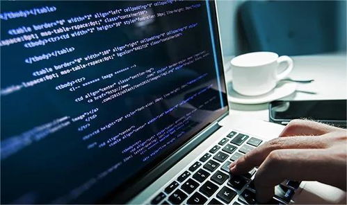 初中计算机编程入门:编程入门,开启初中生的数字世界之旅 初中计算机编程入门:编程入门,开启初中生的数字世界之旅