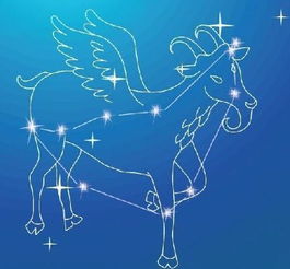 摩羯暗恋一个人30细节：30个隐秘信号，摩羯座暗恋时的无声告白（副标题，从细节看性格内向者的深情表达）