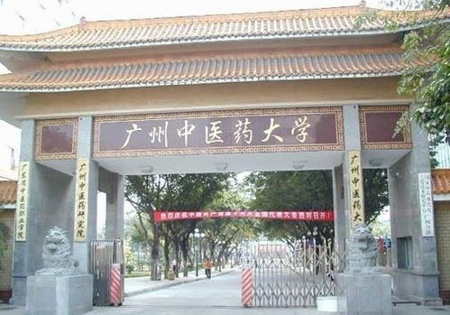 广州中医药大学研究生院(广州中医药大学研究生院官网首页) 广州中医药大学研究生院(广州中医药大学研究生院官网首页)