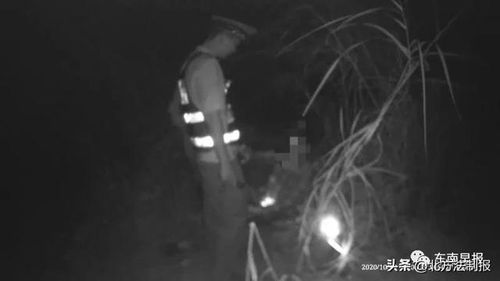 男人梦见蛇缠自己身上:解密梦境,男人梦见蛇缠身背后的隐喻与启示 男人梦见蛇缠自己身上:解密梦境,男人梦见蛇缠身背后的隐喻与启示