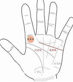 手相图解大全男姻缘图：手相图解大全，男姻缘图全解析，揭秘你的爱情命运