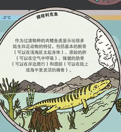 5月22日是什么日子?5月22日,世界生物多样性日与历史时刻的交织 5月22日是什么日子?5月22日,世界生物多样性日与历史时刻的交织