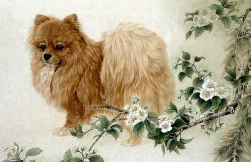 2025年兔与狗结婚吉日:2025年兔与狗结婚吉日,传统生肖婚配与吉日挑选指南 2025年兔与狗结婚吉日:2025年兔与狗结婚吉日,传统生肖婚配与吉日挑选指南