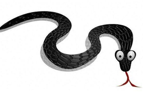 梦见蛇咬伤人,梦境背后的深层含义与心理解析 梦见蛇咬伤人,梦境背后的深层含义与心理解析