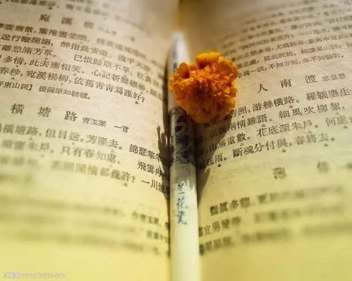 观音第十签解签姻缘:观音第十签解签姻缘,雾里观花,静待花开 观音第十签解签姻缘:观音第十签解签姻缘,雾里观花,静待花开