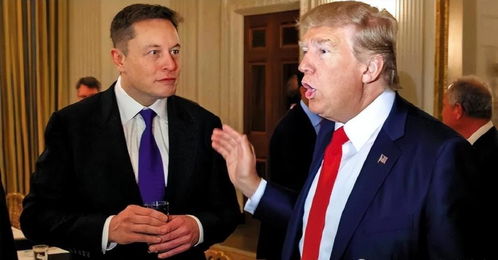 金钻石油被执行11925元 金钻石油被执行11925元