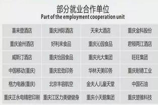 重庆高校就业信息网官网(重庆高校生就业网) 重庆高校就业信息网官网(重庆高校生就业网)