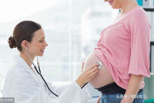 孕5个月吃了西瓜流产了：孕5个月吃西瓜不幸流产，痛心之余我们该如何面对？