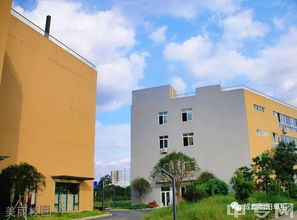 明阳单招培训学校（明阳单招培训学校在哪里）