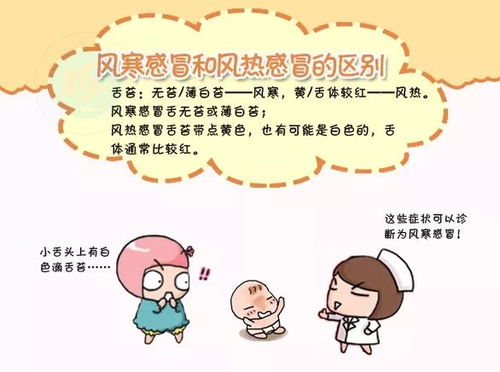 风热和风寒混合型感冒:风热和风寒混合型感冒,症状、原因与应对方法 风热和风寒混合型感冒:风热和风寒混合型感冒,症状、原因与应对方法