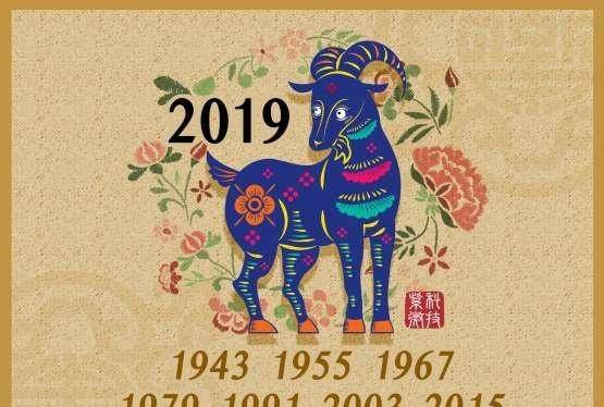 2019年属什么:2019年是属什么的?揭秘中国生肖猪年的文化与象征 2019年属什么:2019年是属什么的?揭秘中国生肖猪年的文化与象征