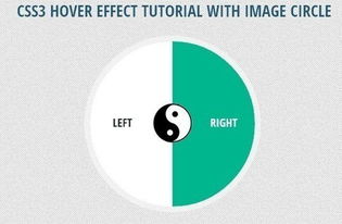 列举五种css鼠标hover效果:五种实用的CSS鼠标Hover效果实现方法 列举五种css鼠标hover效果:五种实用的CSS鼠标Hover效果实现方法