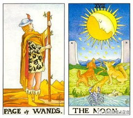 塔罗牌低头:塔罗牌低头,解读神秘与直觉的交汇点 塔罗牌低头:塔罗牌低头,解读神秘与直觉的交汇点