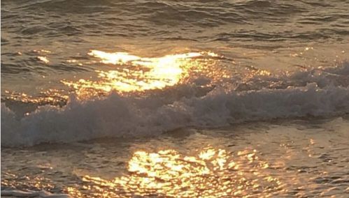 3月双鱼一般人驾驭不住:三月双鱼暗潮汹涌,当浪漫主义撞上现实壁垒的生存指南 3月双鱼一般人驾驭不住:三月双鱼暗潮汹涌,当浪漫主义撞上现实壁垒的生存指南