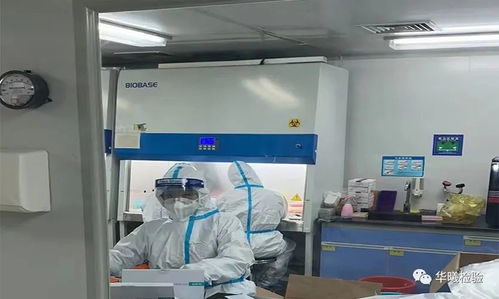 做亲子鉴定在医院哪个部门:亲子鉴定去哪里做?医院哪个科室办理最全指南 做亲子鉴定在医院哪个部门:亲子鉴定去哪里做?医院哪个科室办理最全指南