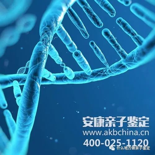 做亲子鉴定在医院哪个部门:亲子鉴定去哪里做?医院哪个科室办理最全指南 做亲子鉴定在医院哪个部门:亲子鉴定去哪里做?医院哪个科室办理最全指南