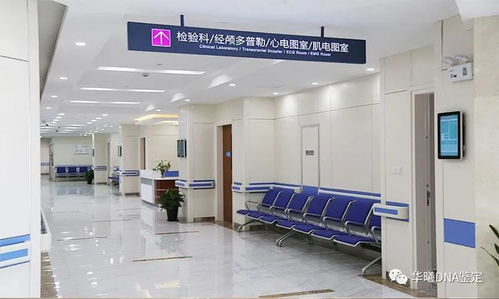 做亲子鉴定在医院哪个部门:亲子鉴定去哪里做?医院哪个科室办理最全指南 做亲子鉴定在医院哪个部门:亲子鉴定去哪里做?医院哪个科室办理最全指南