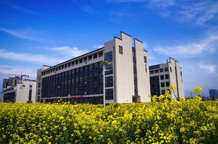 菏泽职业学院(菏泽职业学院专业) 菏泽职业学院(菏泽职业学院专业)