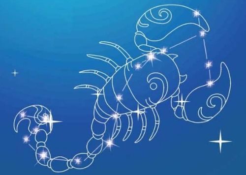 第一星座网最新运势属兔人:标属兔人2023年最新运势,第一星座网独家解析 第一星座网最新运势属兔人:标属兔人2023年最新运势,第一星座网独家解析