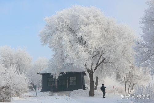 梦见下雪是吉还是凶:梦见下雪是吉还是凶?解密梦境中的雪之谜 梦见下雪是吉还是凶:梦见下雪是吉还是凶?解密梦境中的雪之谜