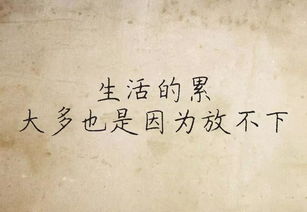 余生很贵（余生很贵下一句怎么接唯美）