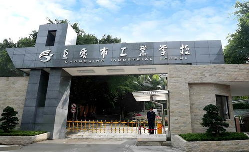 正规公办职业学校(正规公立职业学校) 正规公办职业学校(正规公立职业学校)