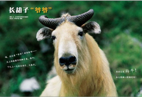 男马女羊的姻缘指数:男马女羊,看似相冲,实则暗藏姻缘指数的秘密! 男马女羊的姻缘指数:男马女羊,看似相冲,实则暗藏姻缘指数的秘密!