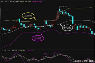 免费看星盘：免费看星盘全攻略，手把手教你轻松获取个人命盘解析