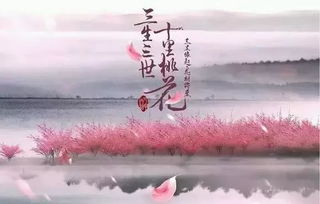 《三生三世》原唱（三生三世原唱是谁）