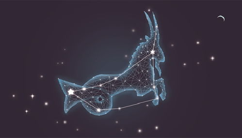 五大数学天才型星座：揭秘五大数学天才星座，理性思维与天赋的完美结合
