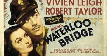 经典爱情电影(获奥斯卡奖的经典爱情电影) 经典爱情电影(获奥斯卡奖的经典爱情电影)