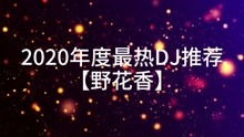 全网最火dj舞曲（全网最火dj舞曲视频）