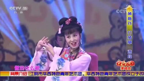 黄梅戏周莉啼笑姻缘片段:黄梅戏经典啼笑姻缘周莉精彩片段赏析 黄梅戏周莉啼笑姻缘片段:黄梅戏经典啼笑姻缘周莉精彩片段赏析