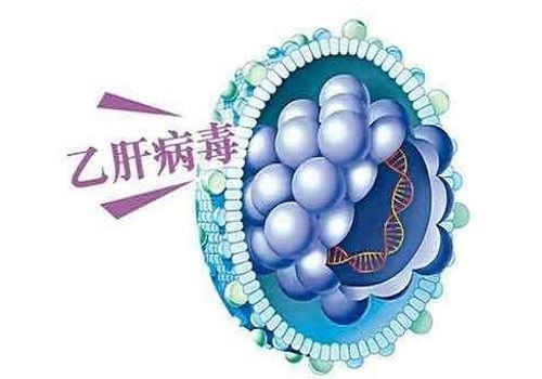 派罗欣干扰素治疗转阴有多大：派罗欣干扰素治疗乙肝能实现转阴吗？效果究竟有多大？