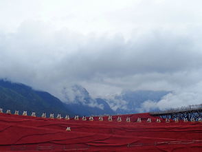 彩虹歌词（许巍彩虹歌词）