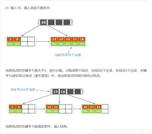 b与b不同（B与B不同区别详解大全）