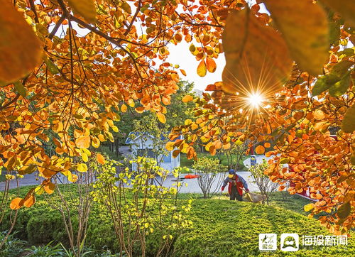 10月6日：金秋十月，10月6日，邂逅层林尽染的诗意时光