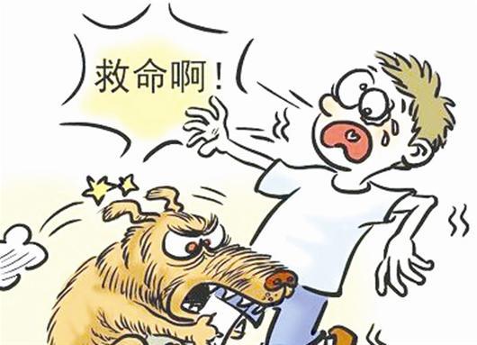 梦见狗想咬我但没咬到:梦境中的未遂之咬,从心理学到文化符号的深层解读 梦见狗想咬我但没咬到:梦境中的未遂之咬,从心理学到文化符号的深层解读