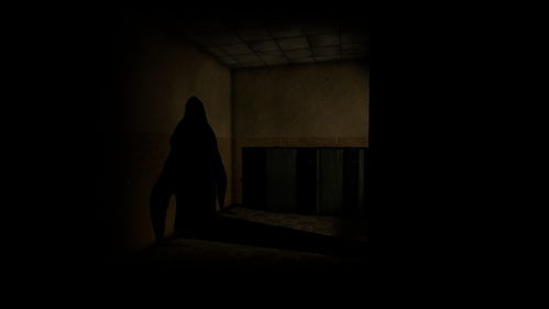 世界十大不敢公开的灵异事件(世界十大不敢公开的灵异事件是什么) 世界十大不敢公开的灵异事件(世界十大不敢公开的灵异事件是什么)