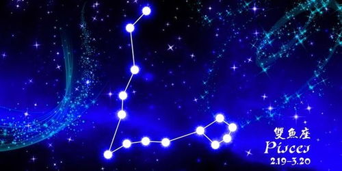 最优秀最高级的星座排名:十二星座天花板排名,谁才是星海中的终极王者? 最优秀最高级的星座排名:十二星座天花板排名,谁才是星海中的终极王者?