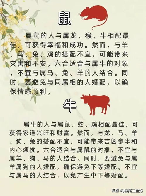 夫妻搭配最好的生肖:揭秘最佳夫妻生肖搭配,婚姻幸福长久的秘密 夫妻搭配最好的生肖:揭秘最佳夫妻生肖搭配,婚姻幸福长久的秘密