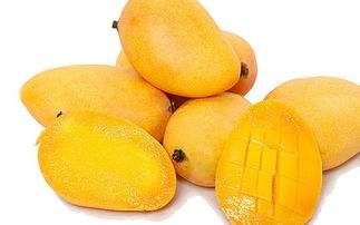 降火的水果有哪些最好:降火水果大揭秘,这些水果帮你轻松灭火! 降火的水果有哪些最好:降火水果大揭秘,这些水果帮你轻松灭火!