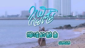 搁浅歌词(搁浅歌词歌词) 搁浅歌词(搁浅歌词歌词)