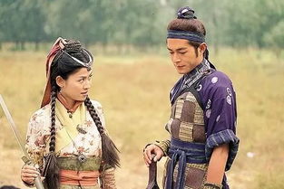 寻秦记电视剧（寻秦记电视剧剧情介绍）