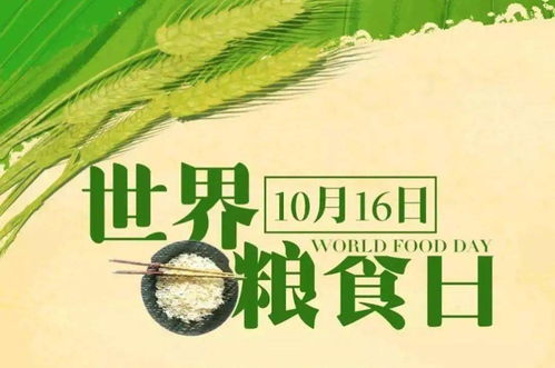 11月10日是什么日子：11月10日，全球纪念日与历史瞬间的交汇
