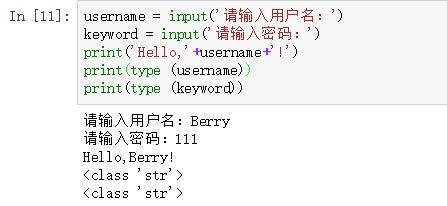 python的input函数：Python input函数，从入门到实践