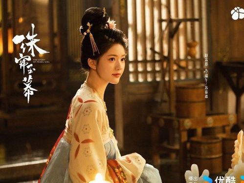 珠帘玉幕电视剧免费观看完整版（珠帘玉幕电视剧免费观看完整版在线观看）