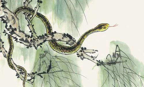 88年属龙女人一生命运：88年属龙女性一生命运解析，机遇与挑战并存的黄金时代