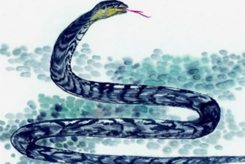 属蛇男22年姻缘如何:属蛇男2025-2026年姻缘运势解析,机遇与挑战并存,如何把握幸福? 属蛇男22年姻缘如何:属蛇男2025-2026年姻缘运势解析,机遇与挑战并存,如何把握幸福?