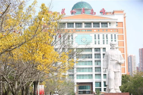 泉州医学高等专科学校(泉州医学高等专科学校是本科吗) 泉州医学高等专科学校(泉州医学高等专科学校是本科吗)